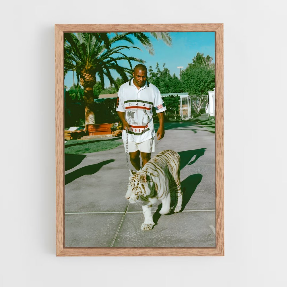 Poster Tiger King (vue 4)